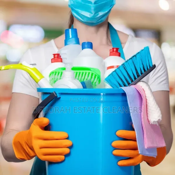 Laundry and Home Cleaning Service