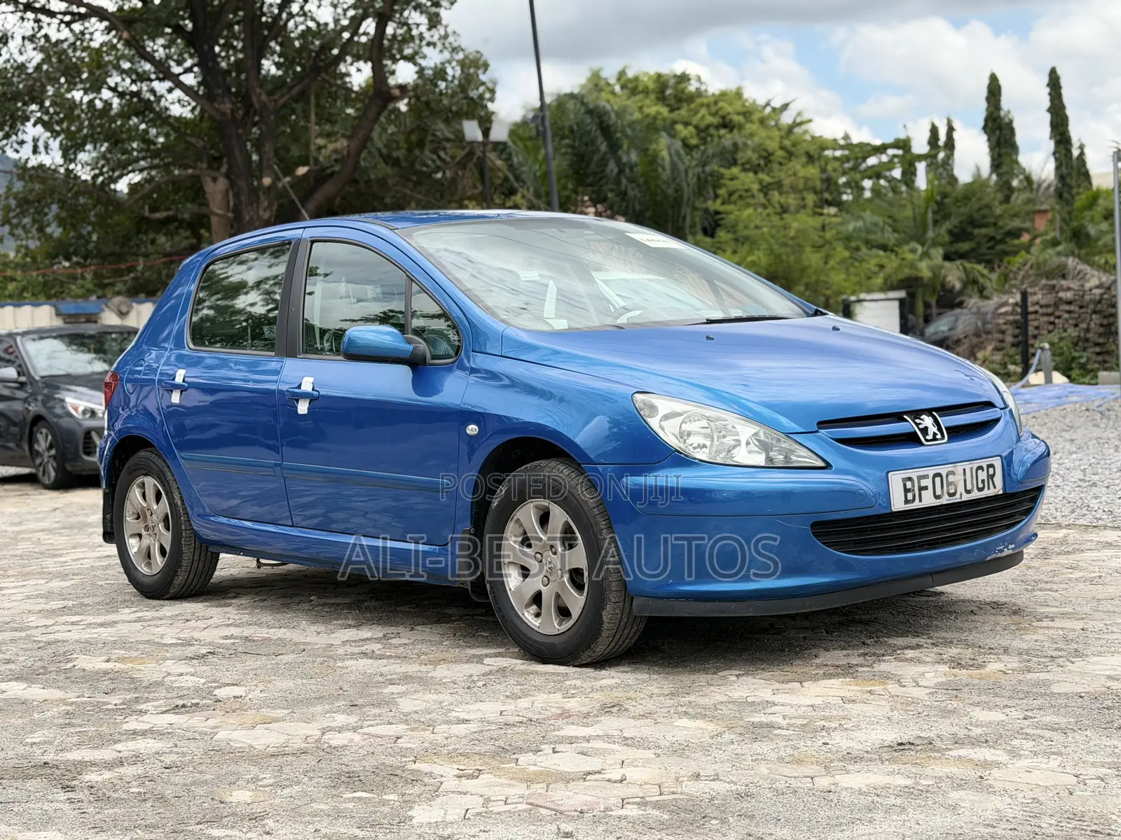 Peugeot 307 2009 Blue