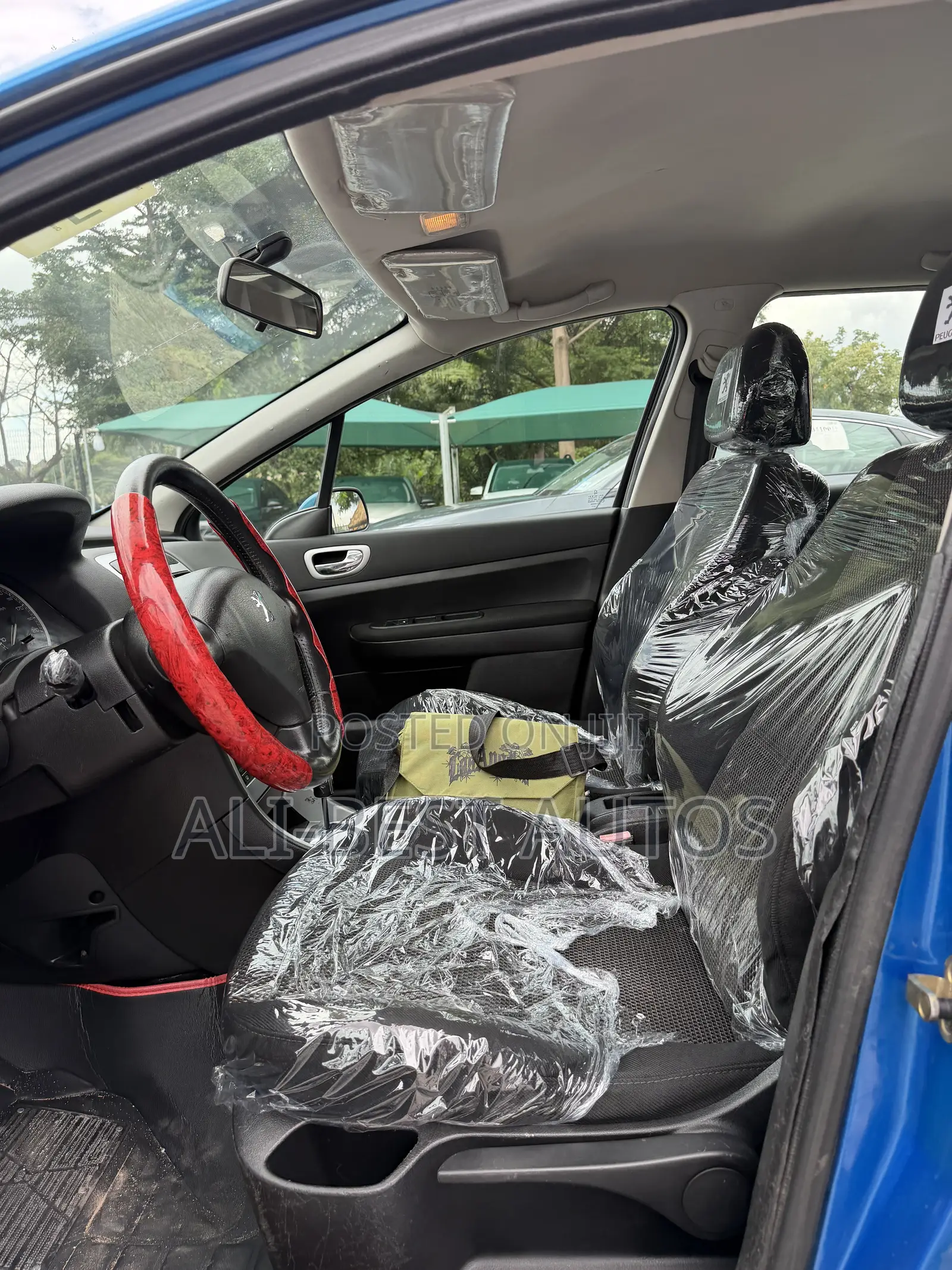 Peugeot 307 2009 Blue
