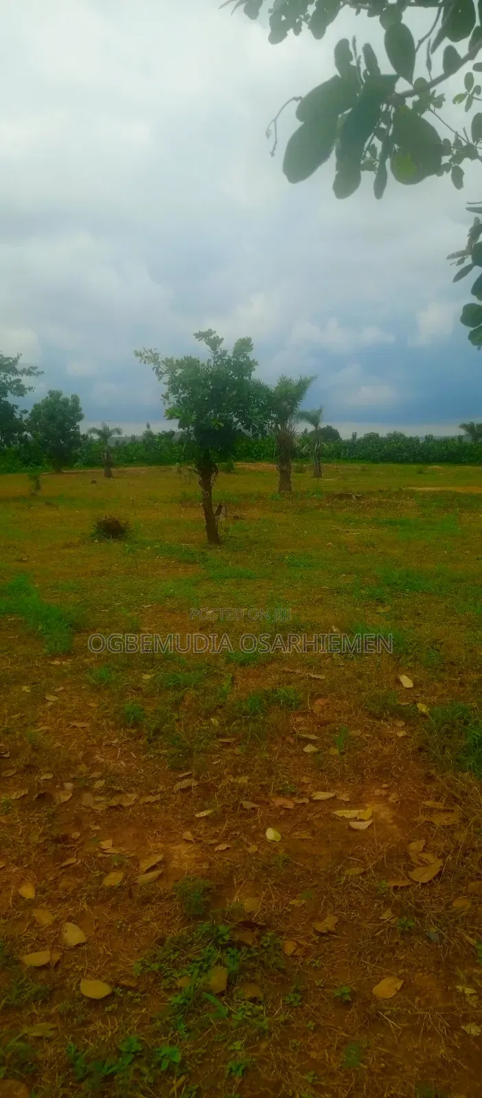 200sqm Estate Land for 3 Bedroom Terrace Duplex With RofO