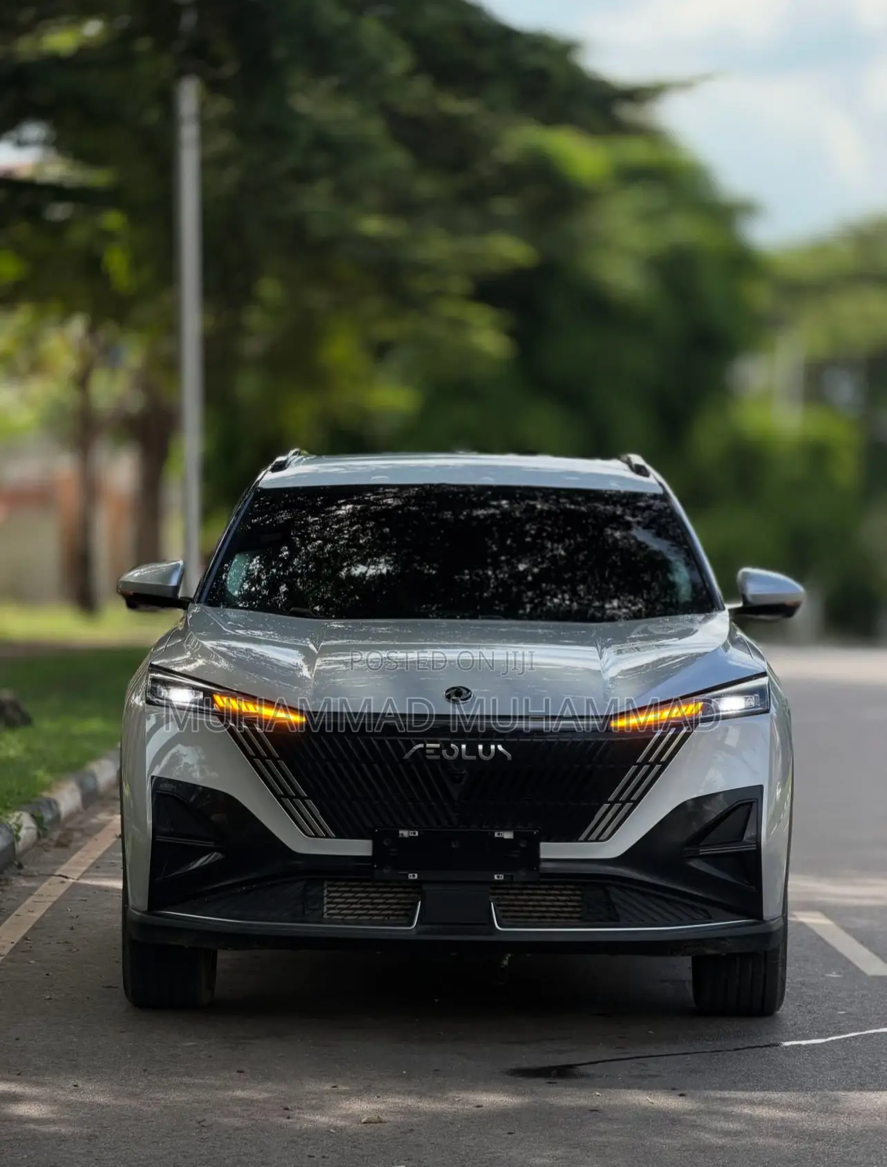 New Dongfeng Captain 2025 Silver