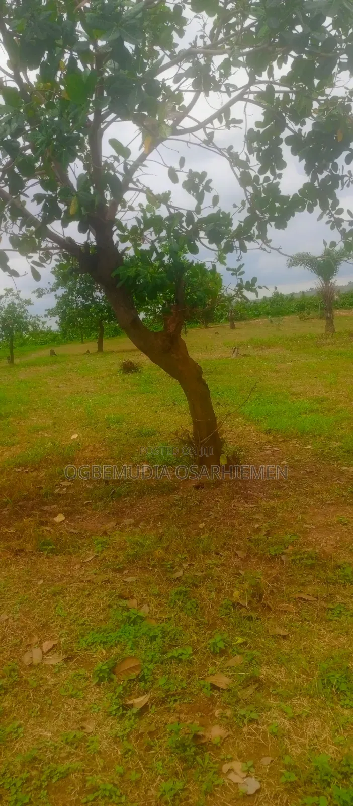 350sqm Estate Land for 3 Bedroom Bungalow+BQ With RofO
