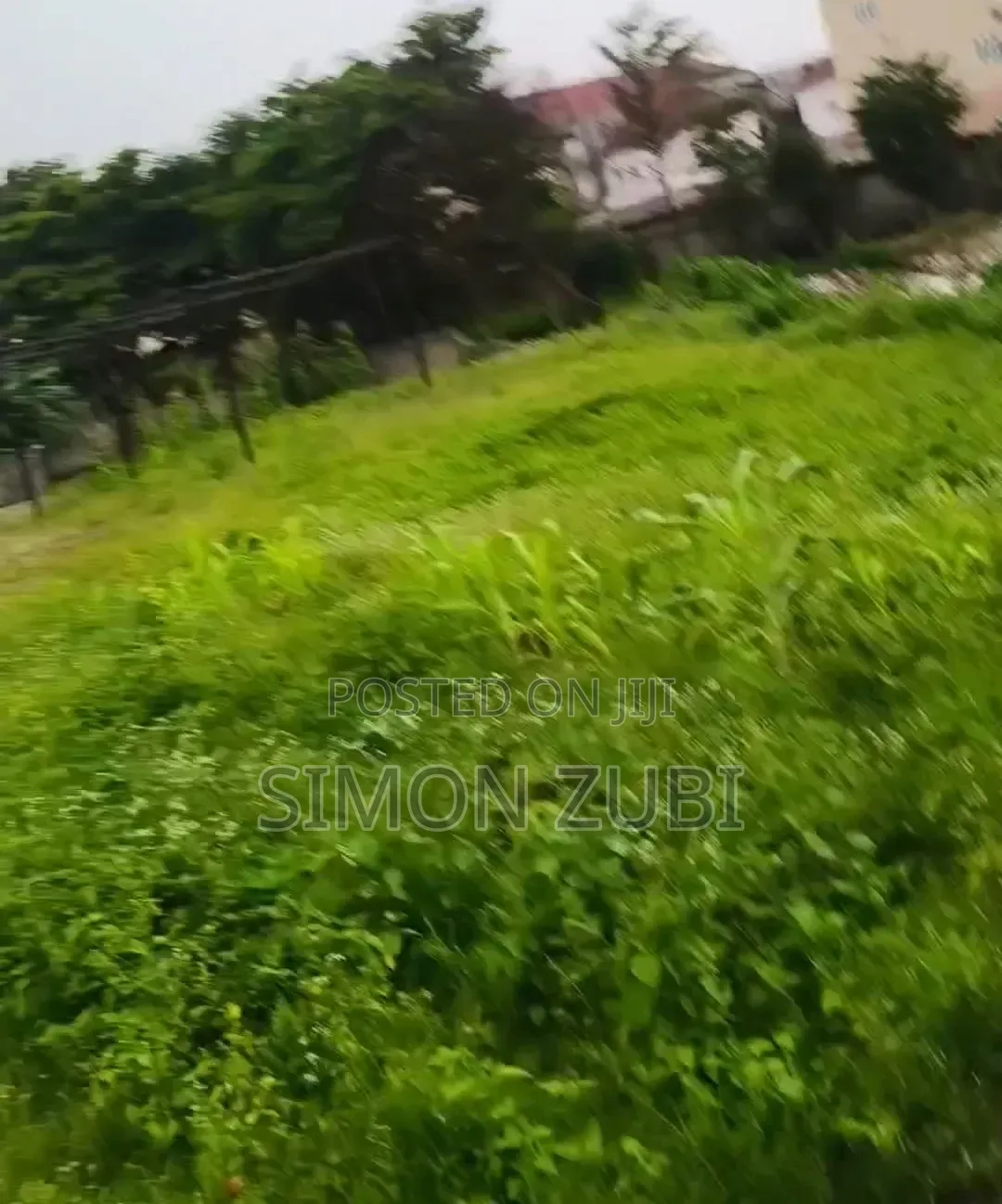 Residential/Commercial Plots