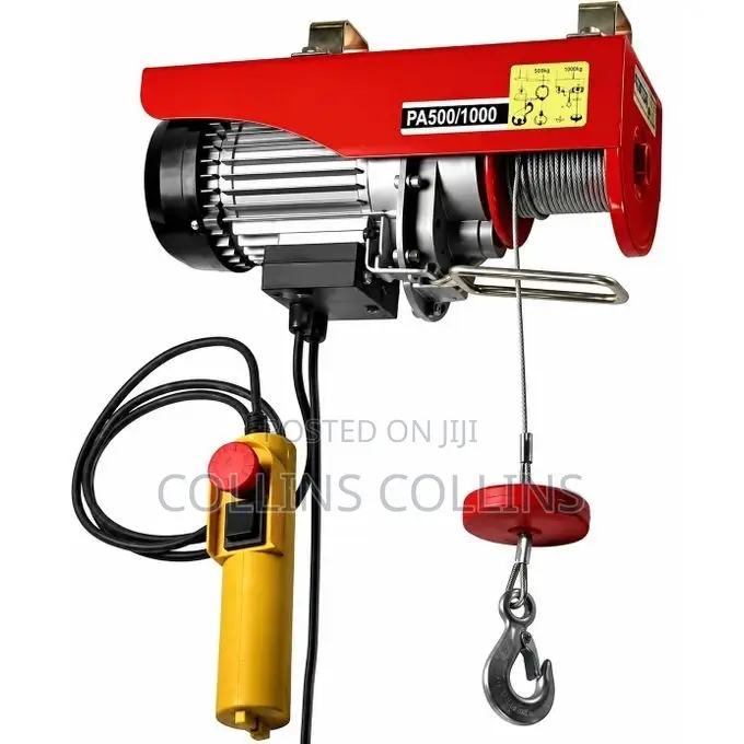Electric Hoist 250kg