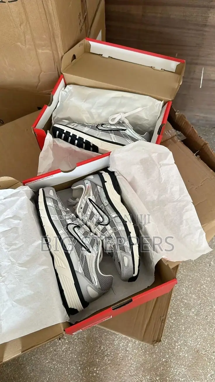 High Quality Nike P-6000 Silver Luxury Sneakers