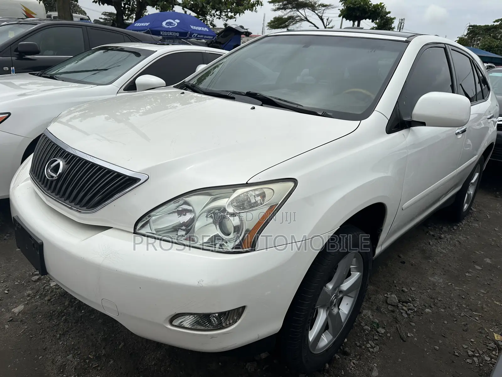 Lexus RX 330 2006 White