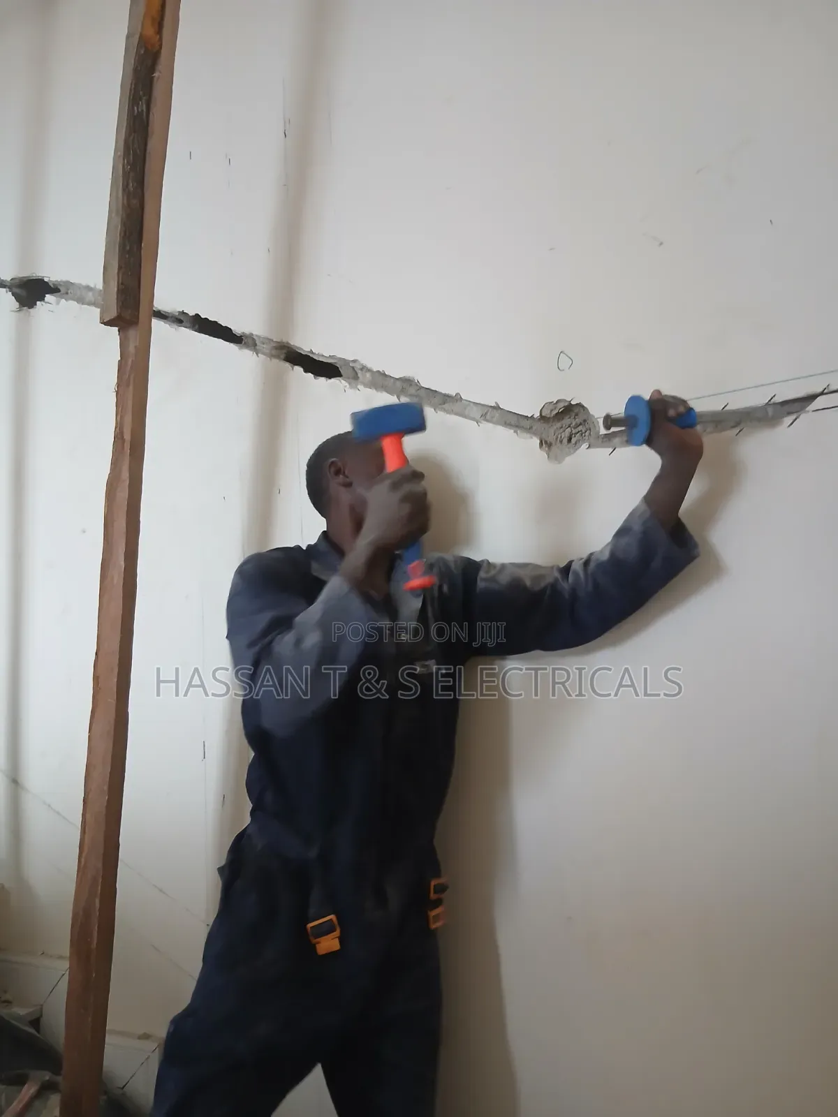 Professional Electrician