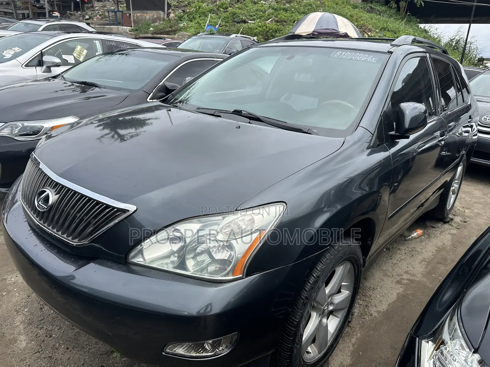 Lexus RX 330 2006 Gray