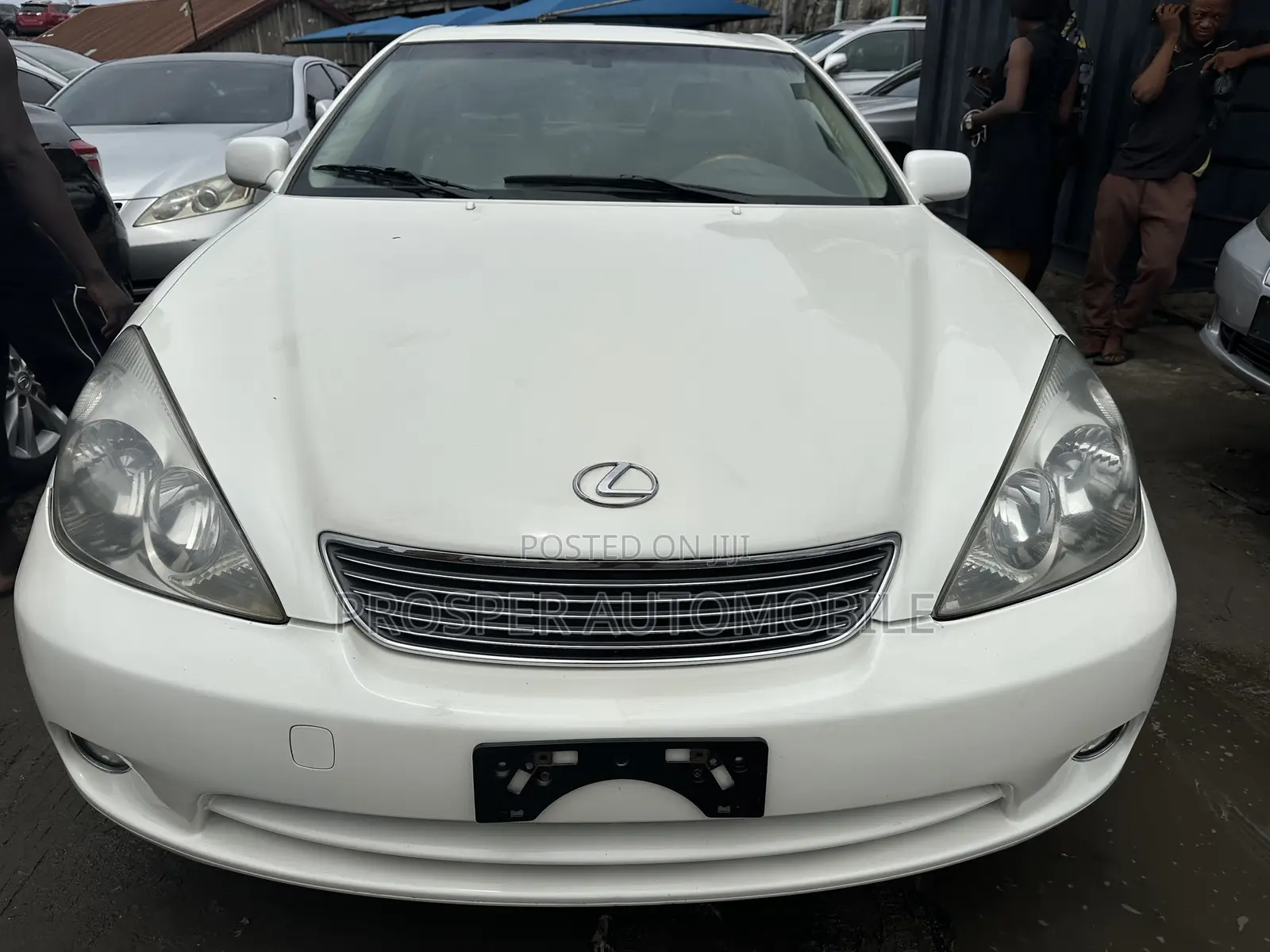 Lexus ES 330 2006 White