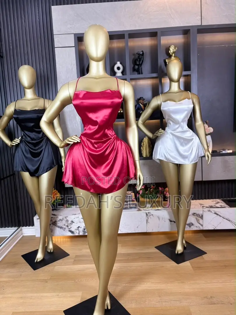 Sexy Silk Mini Dress/Lingerie