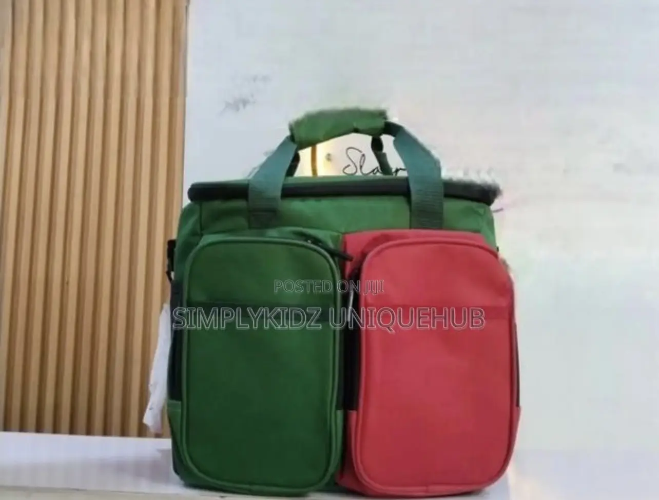 Insulated Lunch/Picnic Bag(Big)