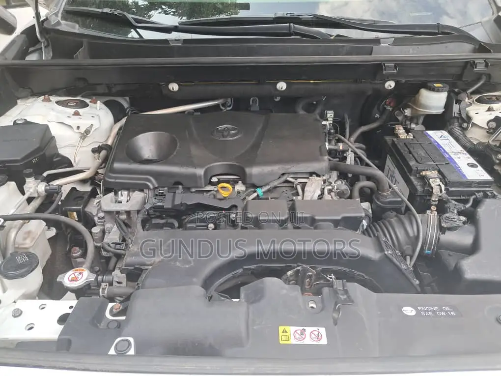 Toyota RAV4 XLE Premium AWD 2019 White