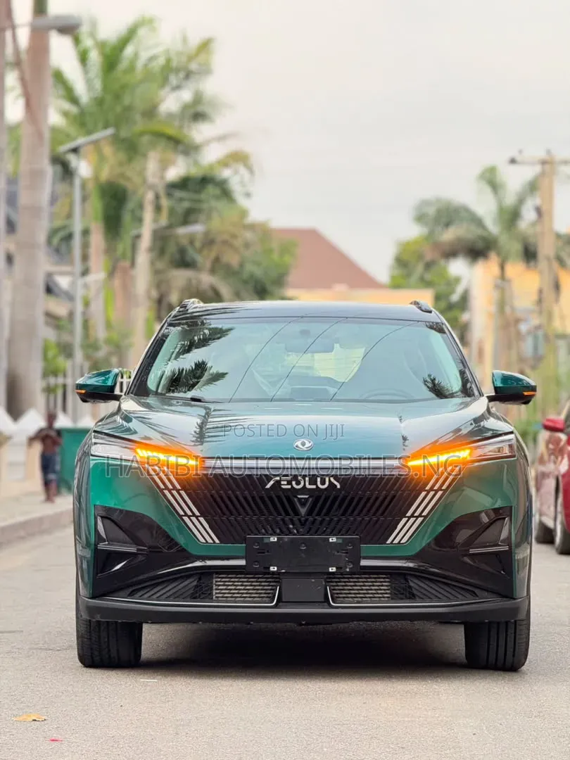 New Dongfeng Captain 2024 Green
