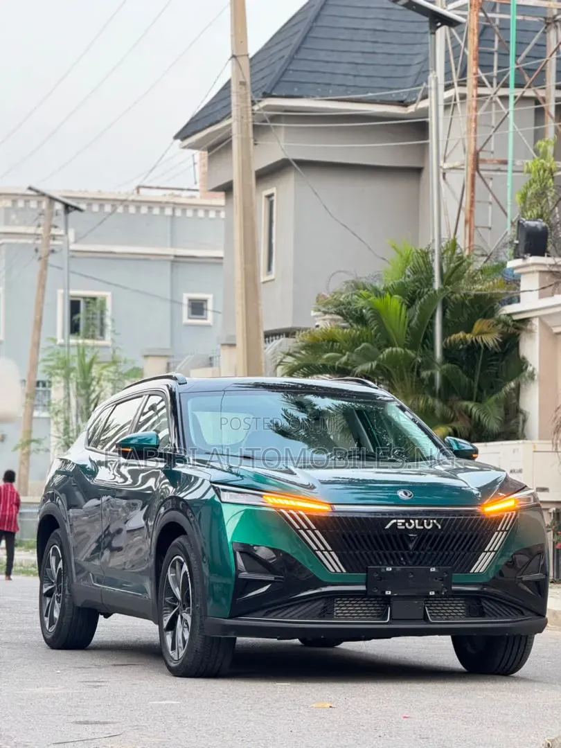 New Dongfeng Captain 2024 Green