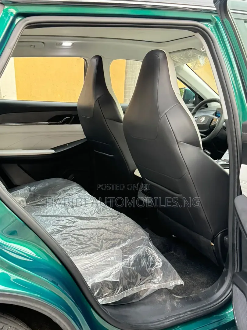 New Dongfeng Captain 2024 Green