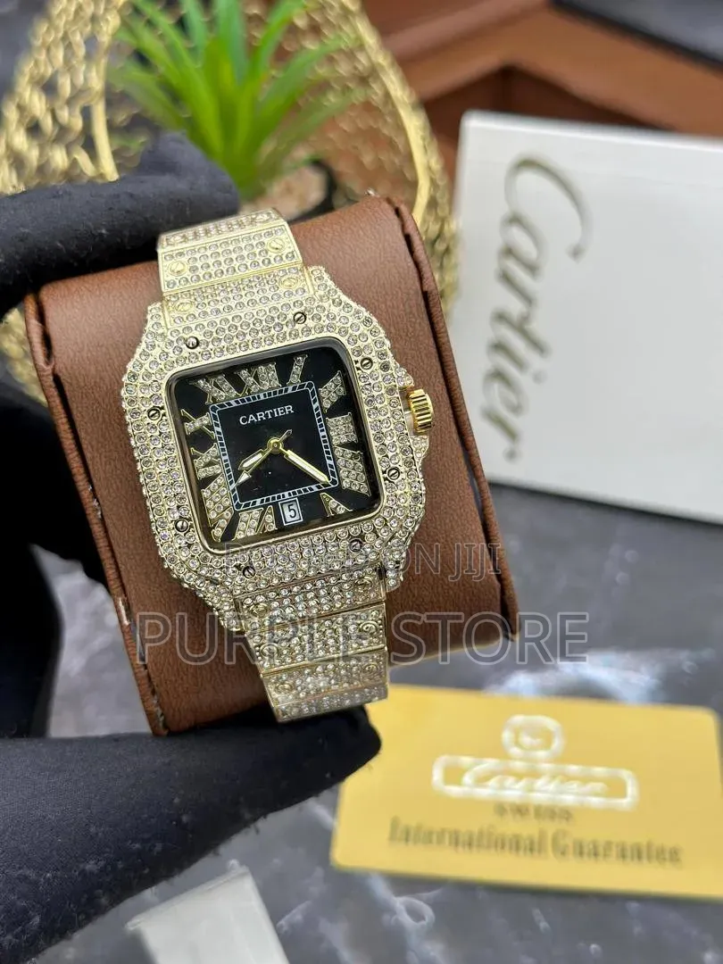 Cartier Fully Iced Watch Unisex Watch