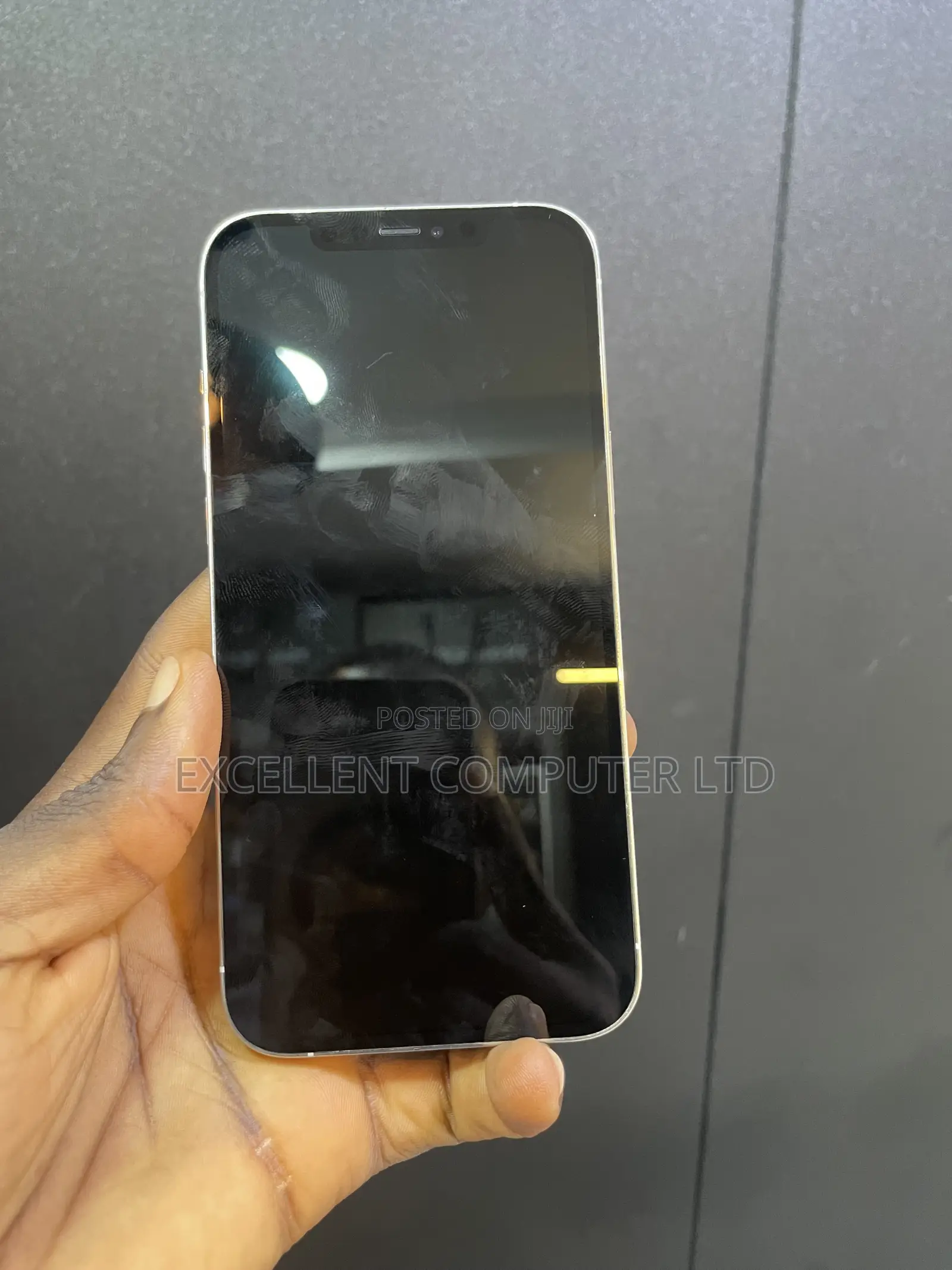 Apple iPhone 12 Pro Max 256 GB Silver