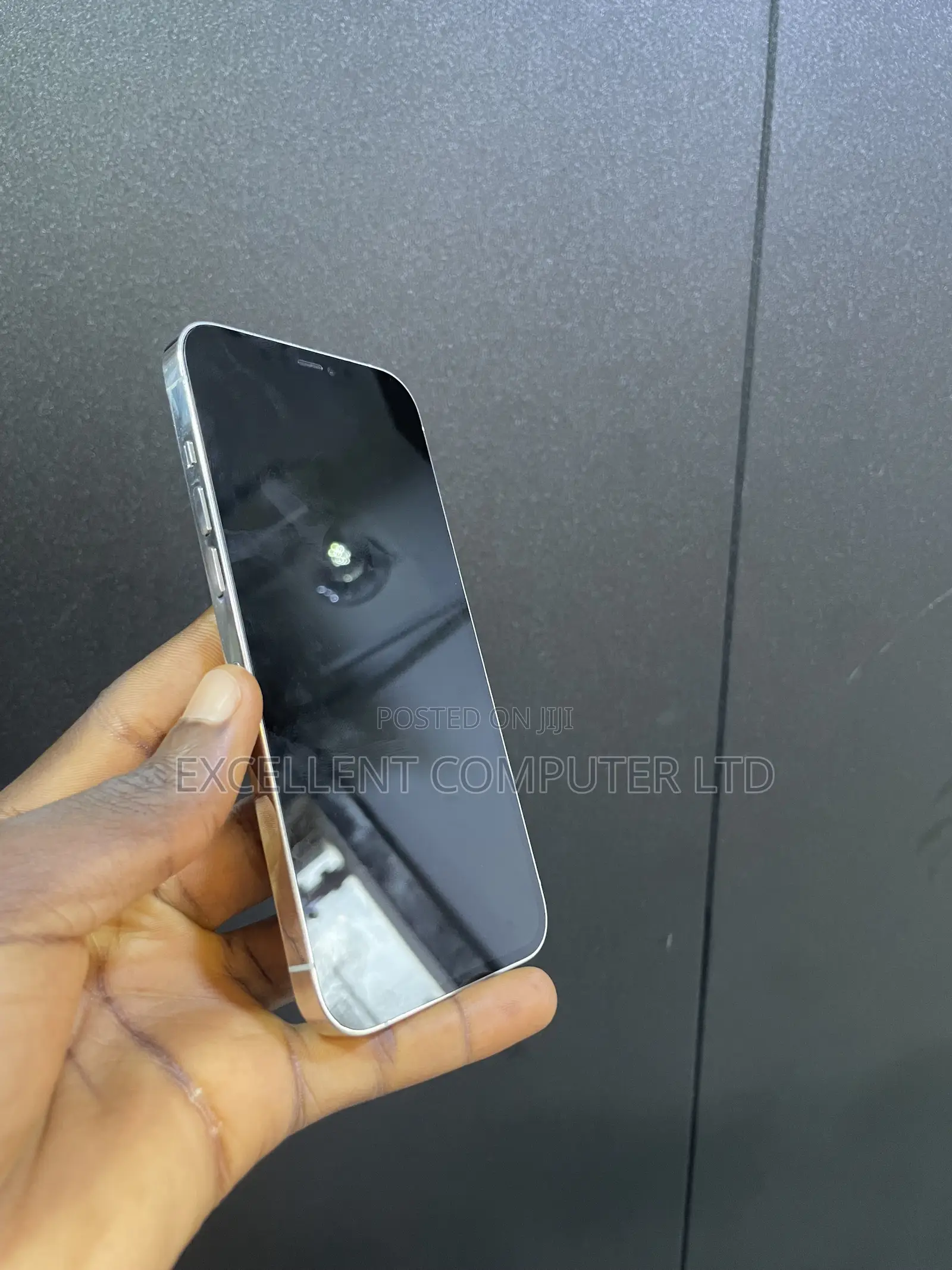 Apple iPhone 12 Pro Max 256 GB Silver