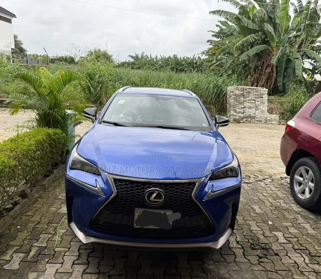 Lexus NX 2019 Blue