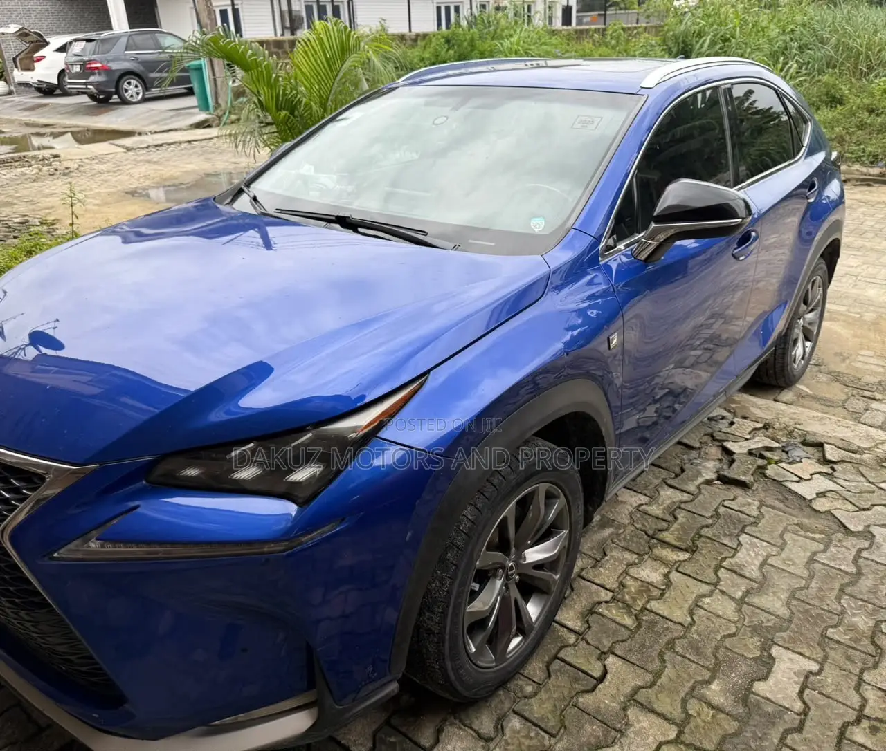 Lexus NX 2019 Blue