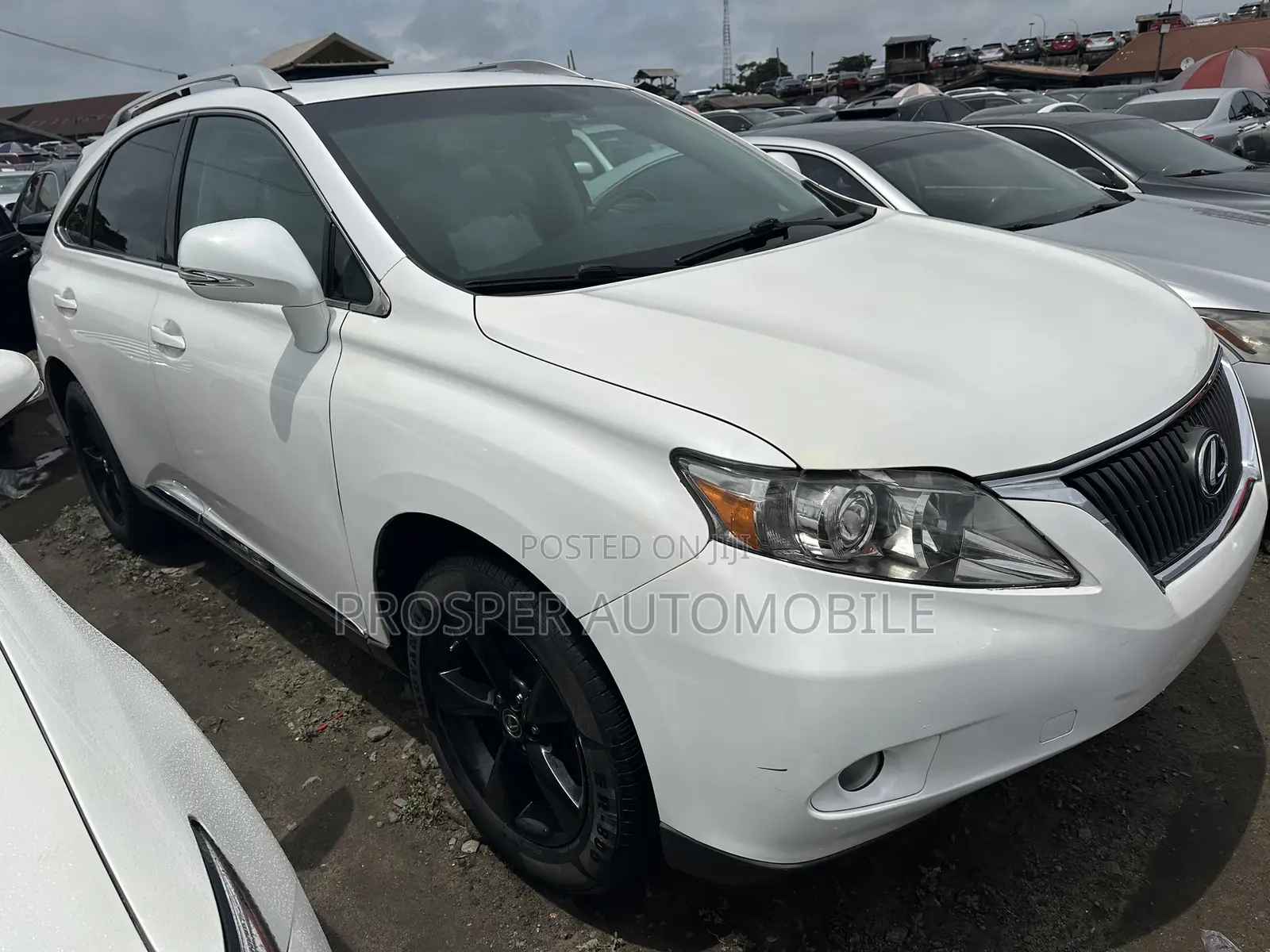 Lexus RX 350 2010 White