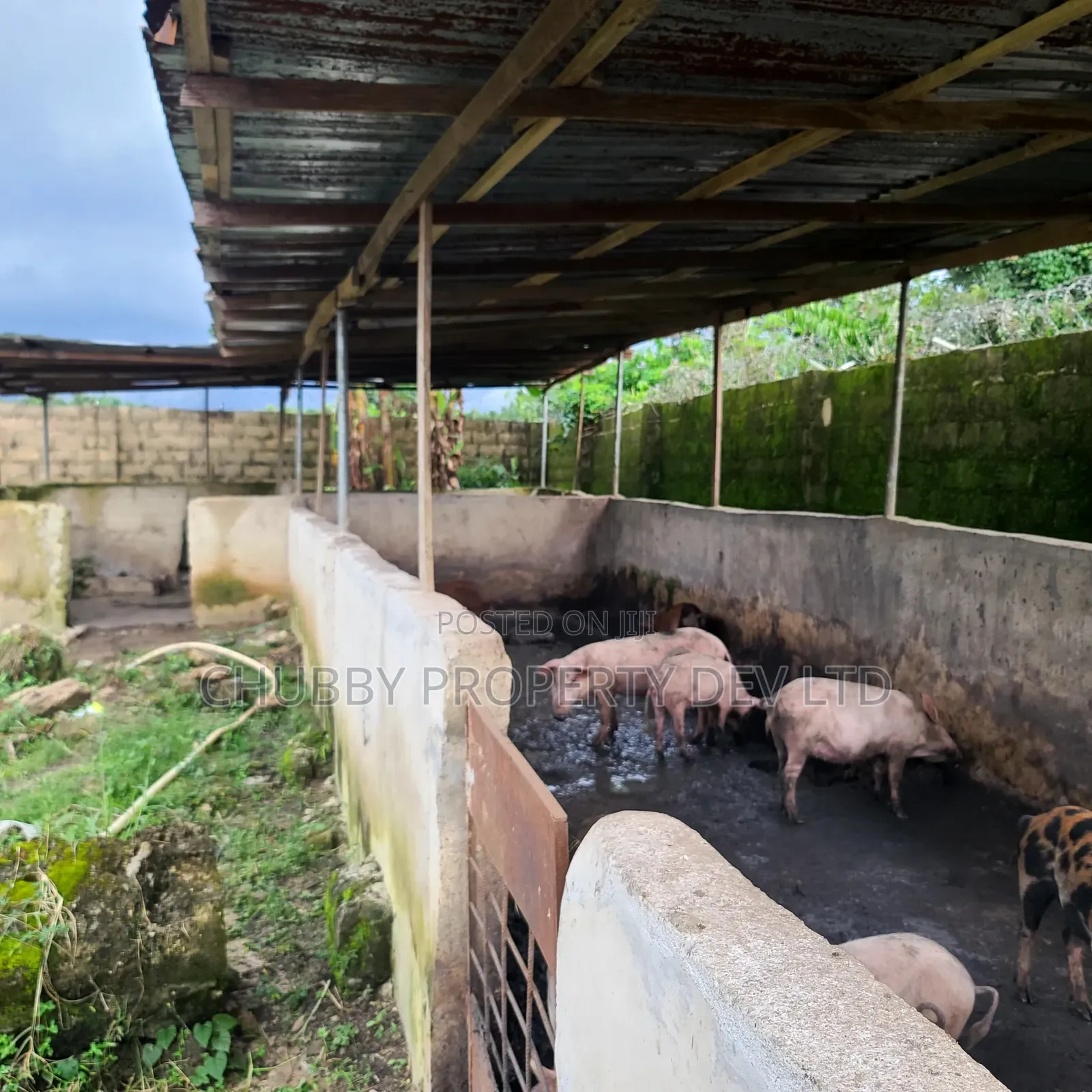 Plots of Land for Livestock Farming