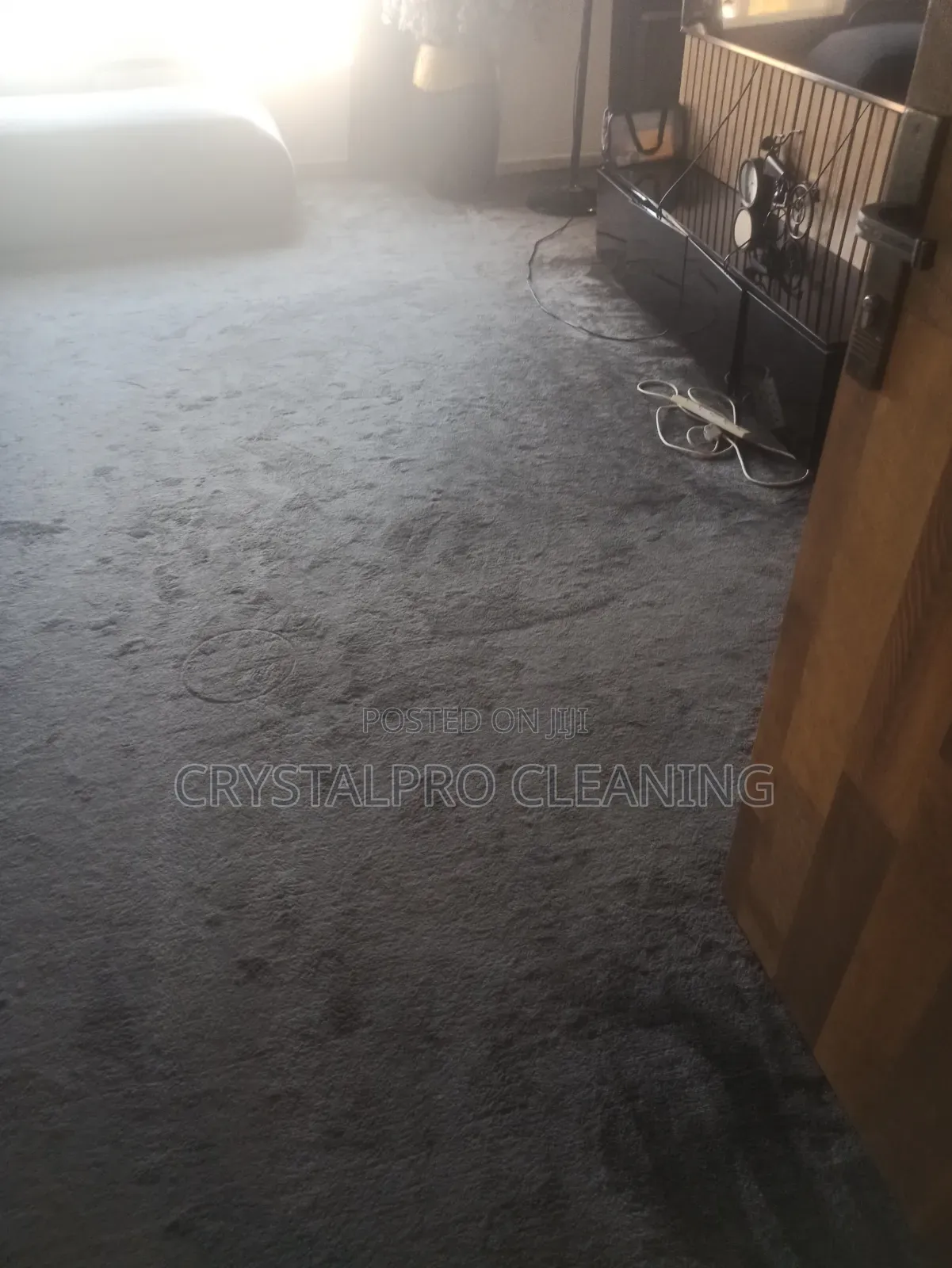 Rug/Sofa Cleaning