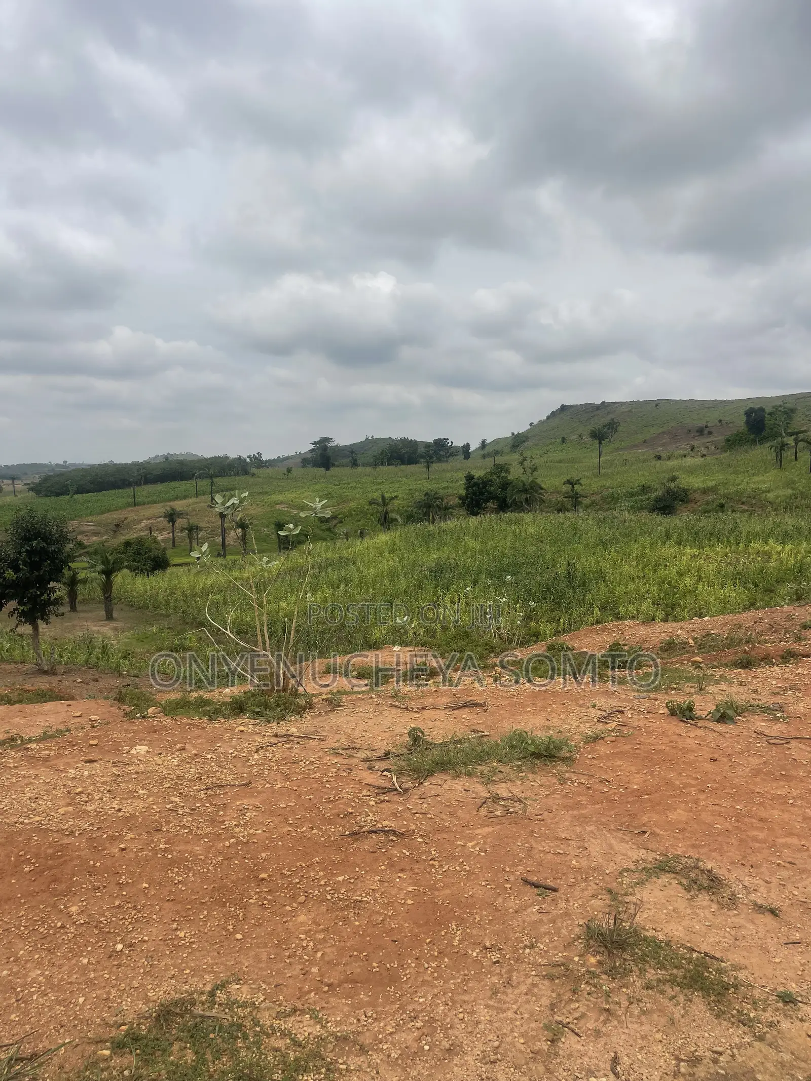 170SQM Estate Plot for 3 Bedroom Terrace With C of O