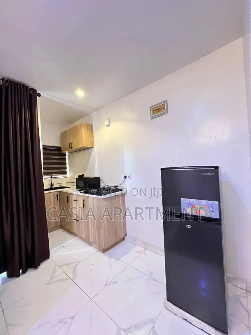 One Bedroom Apartment