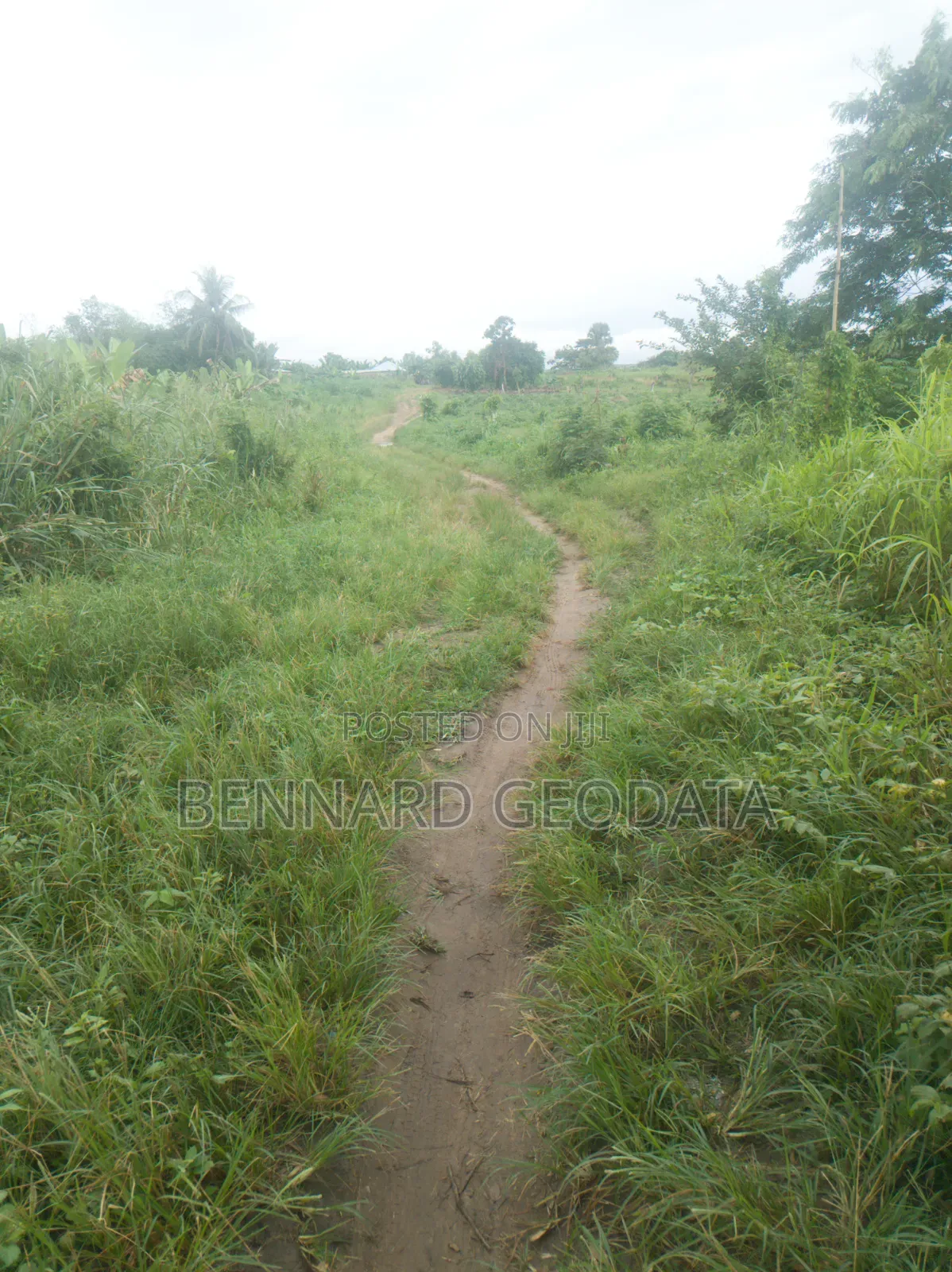 Farmland for Sale