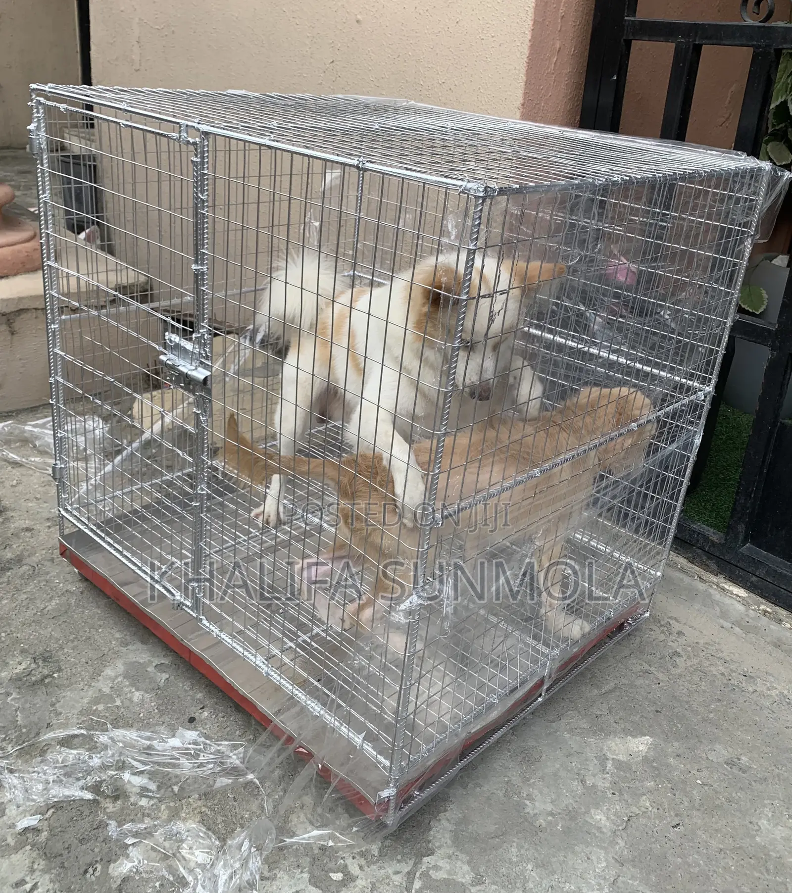 Medium Sized Dog Cage