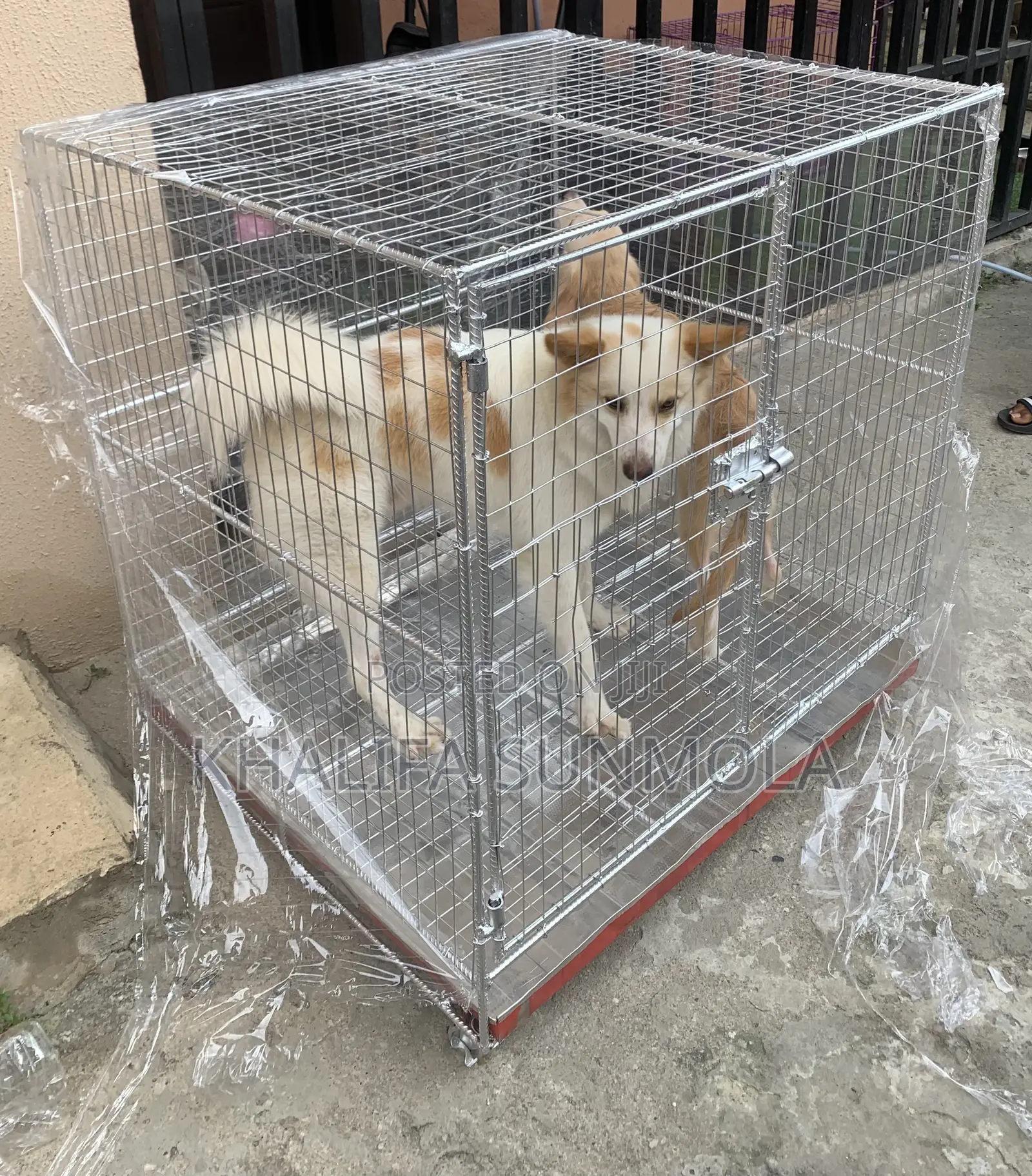 Medium Sized Dog Cage