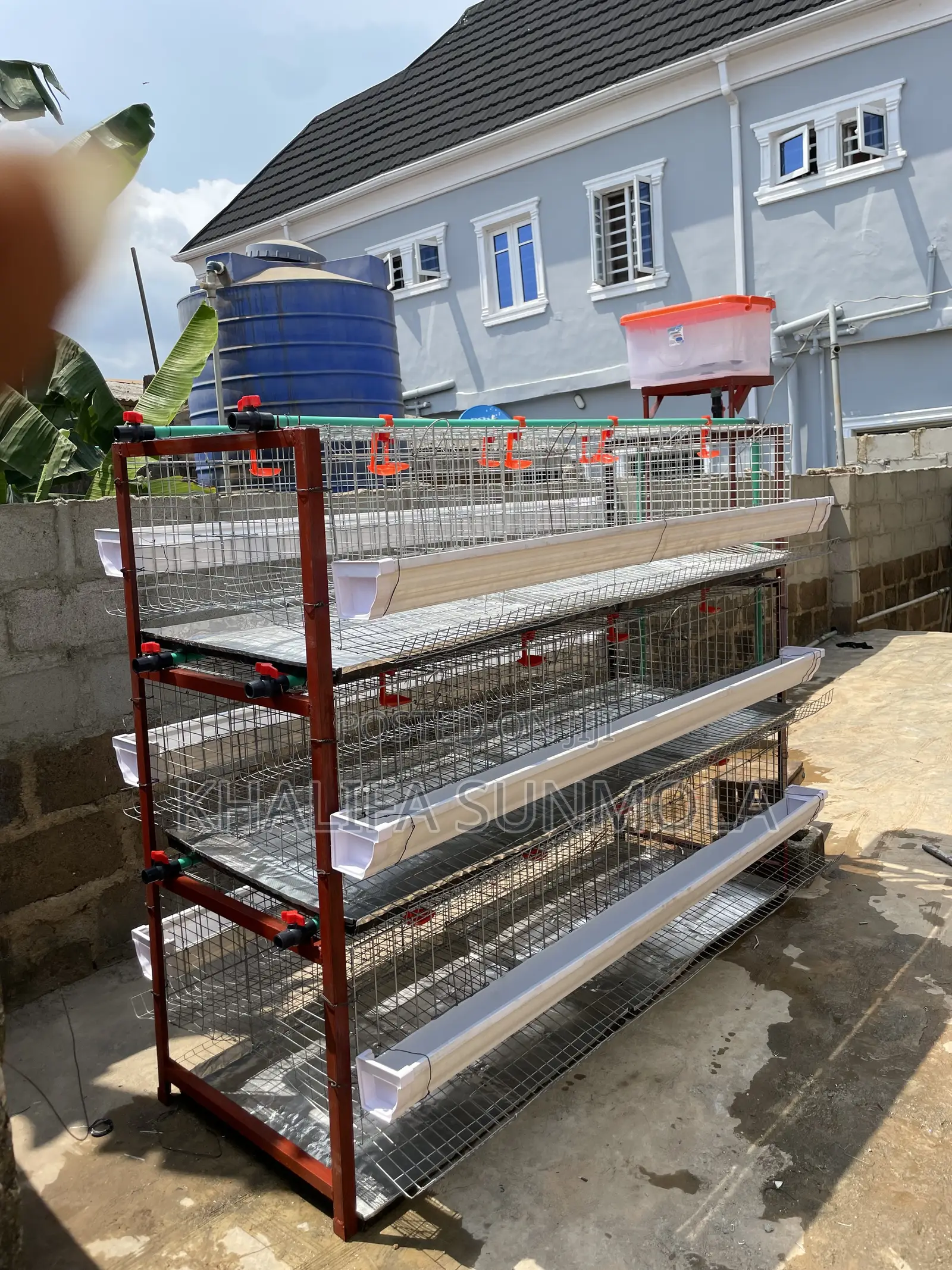 Broiler and Layers Poultry Cage (96 Birds)