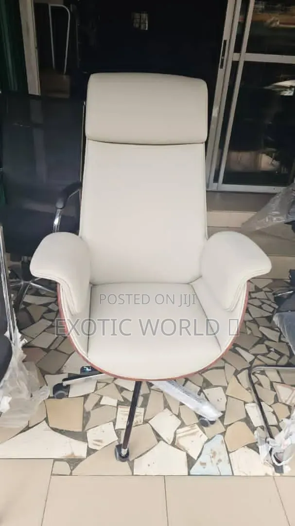 Ergonomic Mesh Office Chair With Chrome Support Frame