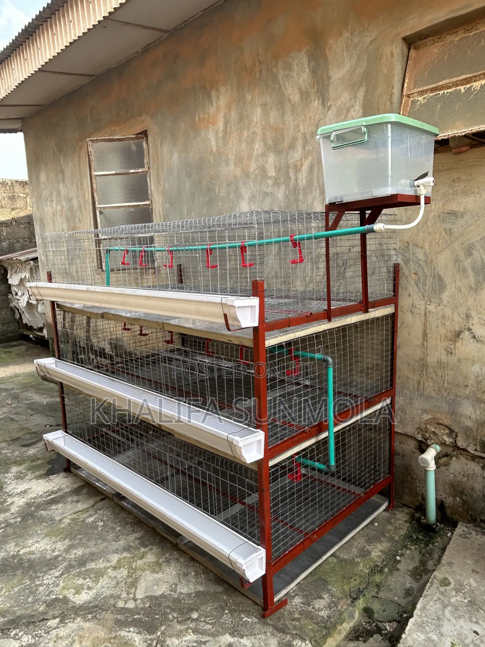 Broiler and Layers Poultry Cage (96 Birds)
