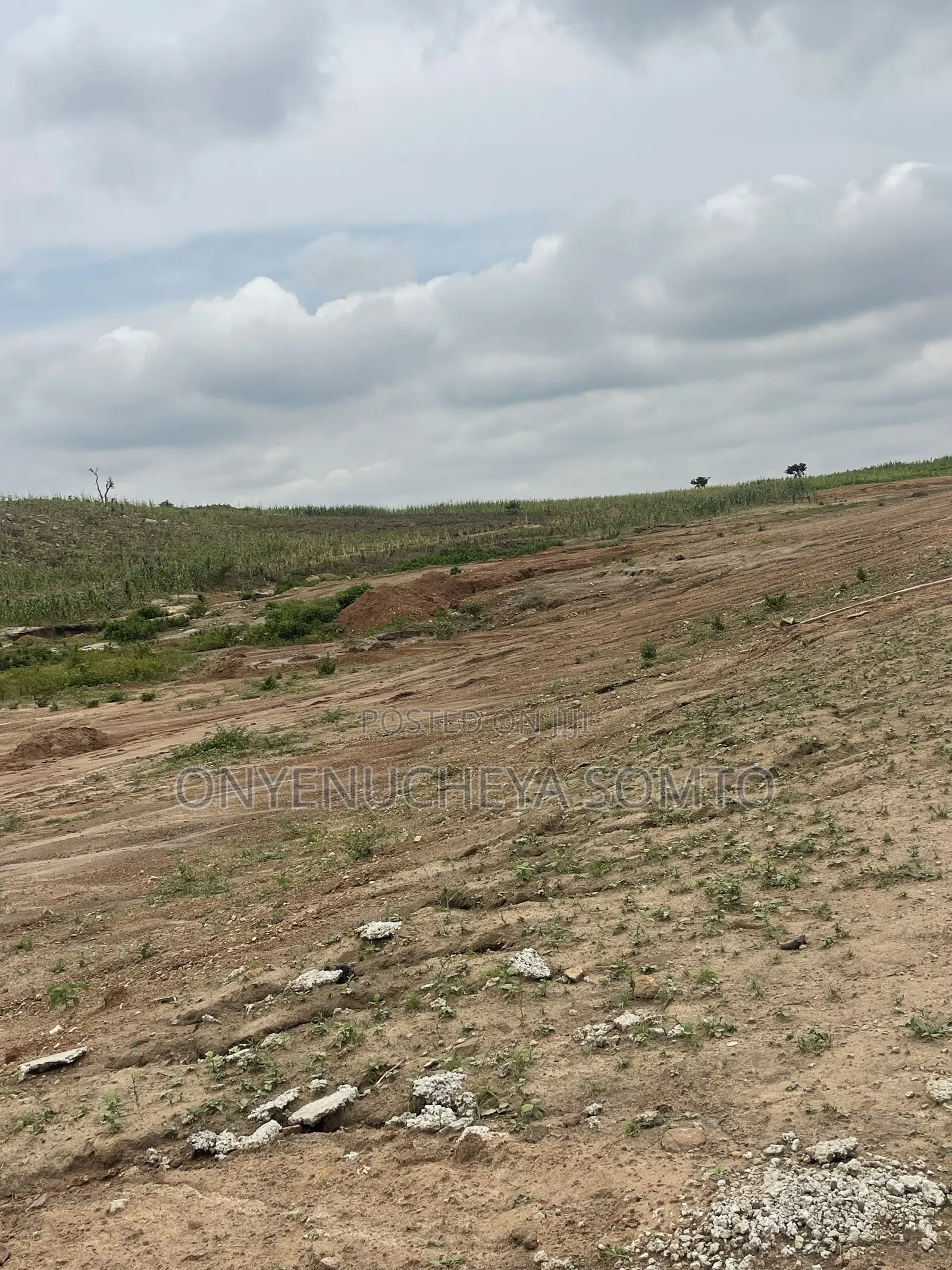 1000SQM Residential Land Plot With C of O