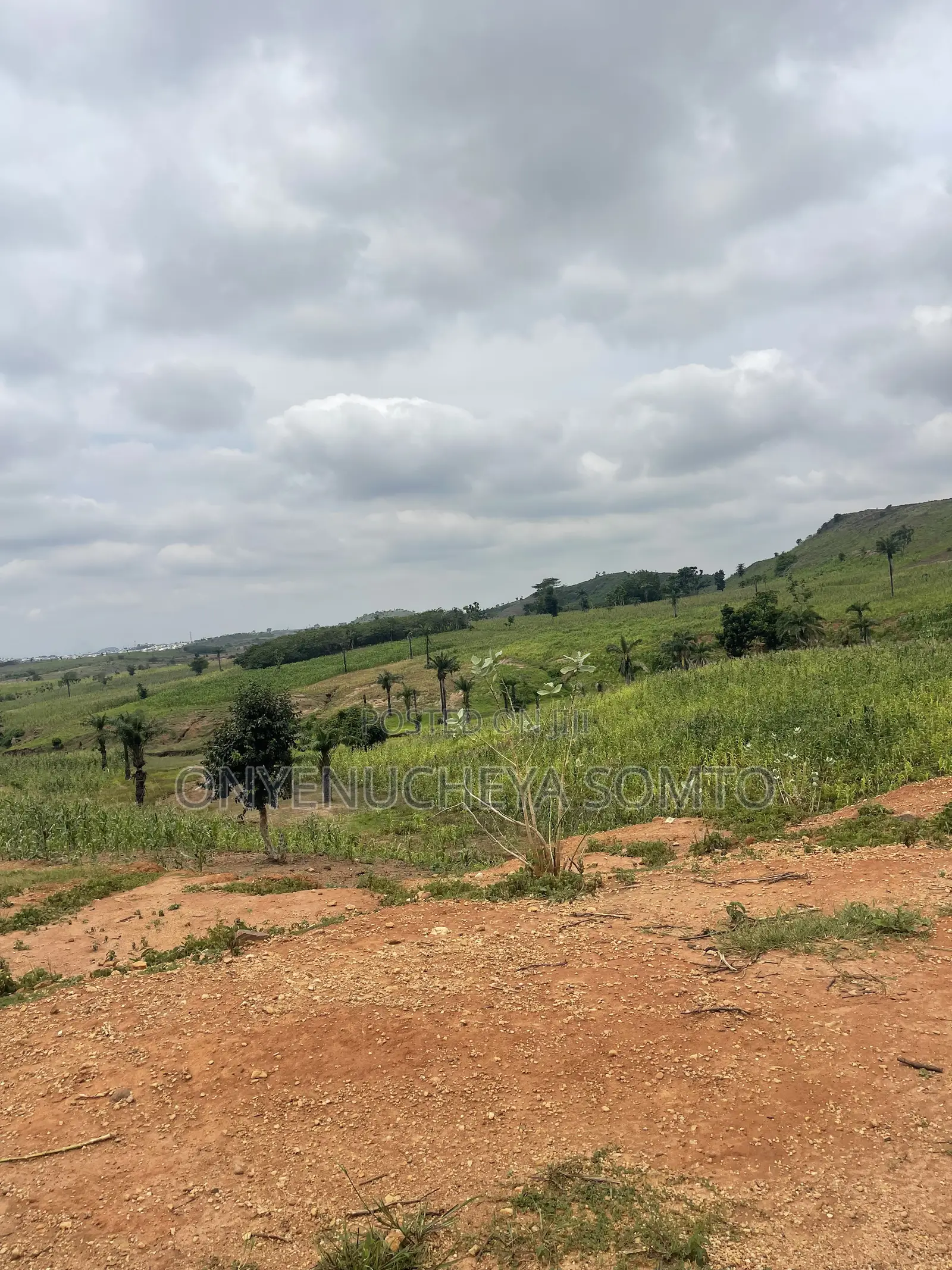 1000SQM Residential Land Plot With C of O