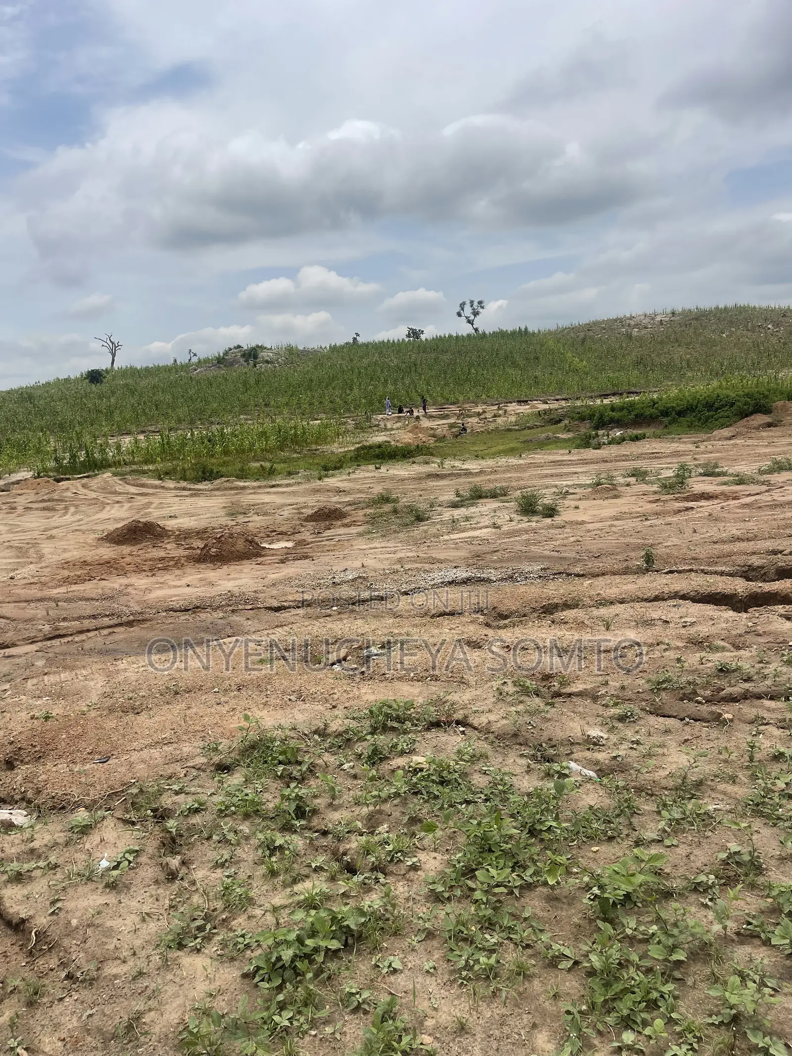 1000SQM Residential Land Plot With C of O