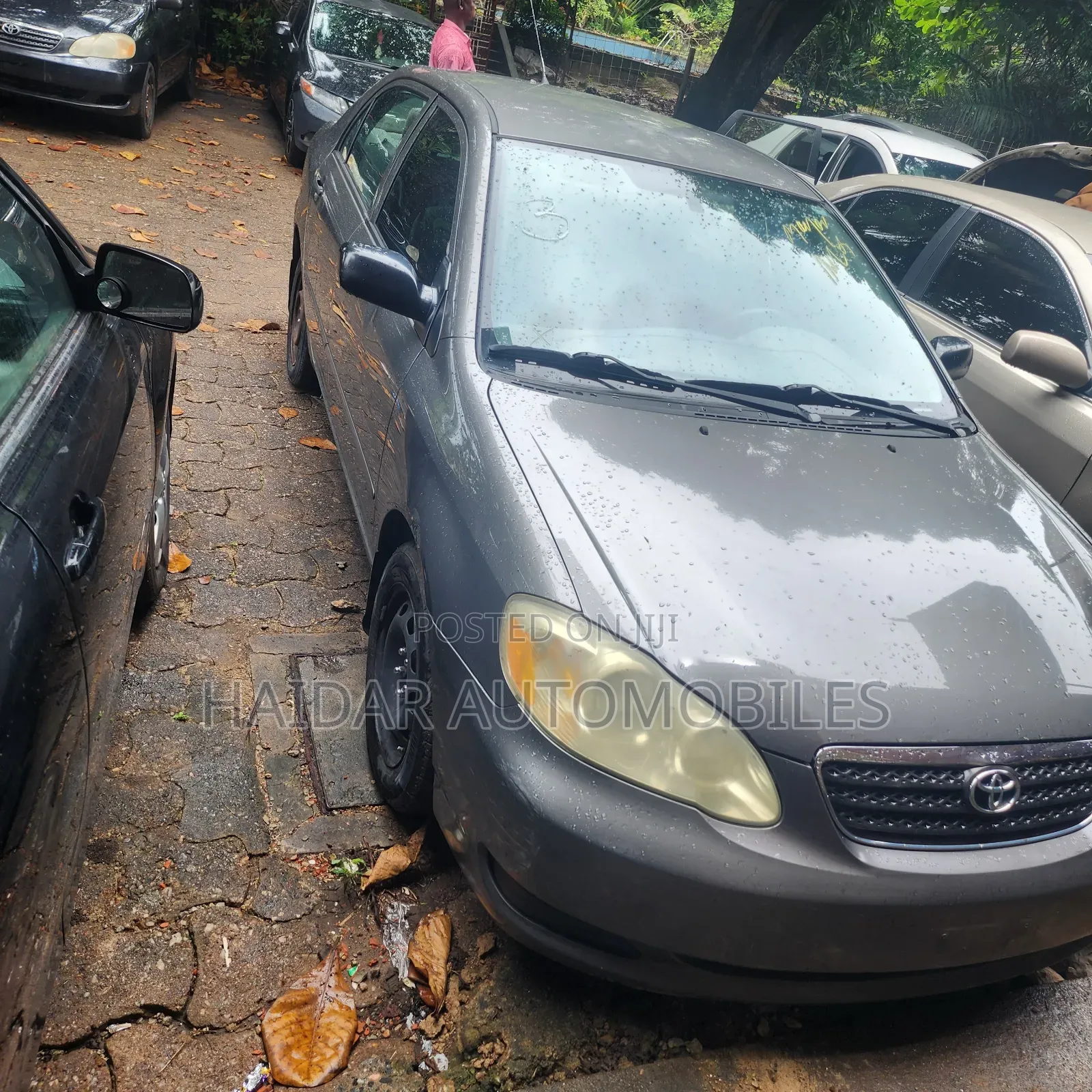 Toyota Corolla LE 2005 Gray