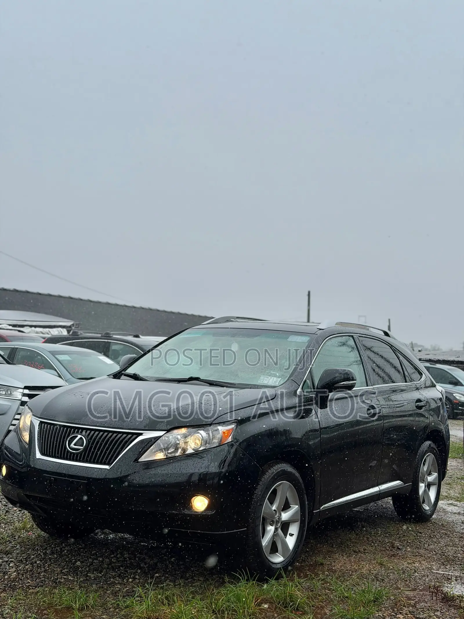 Lexus RX 2010 Black