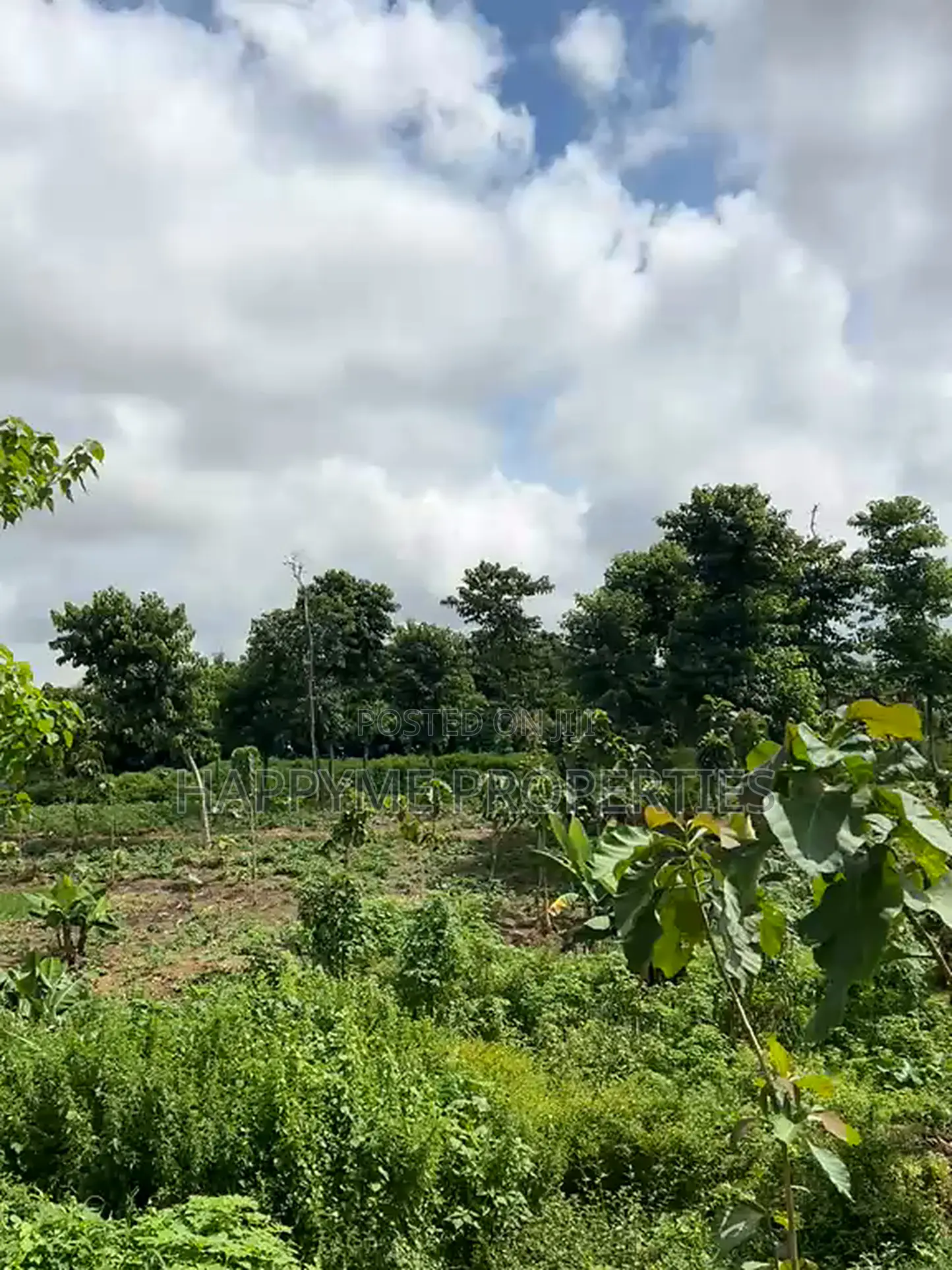 Distress Sale | 2 Prime Residential Plots in Durumi