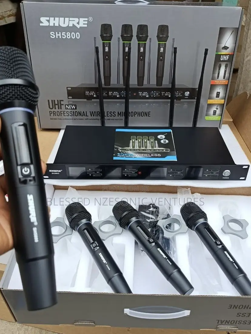 Professional Wireless Microphone