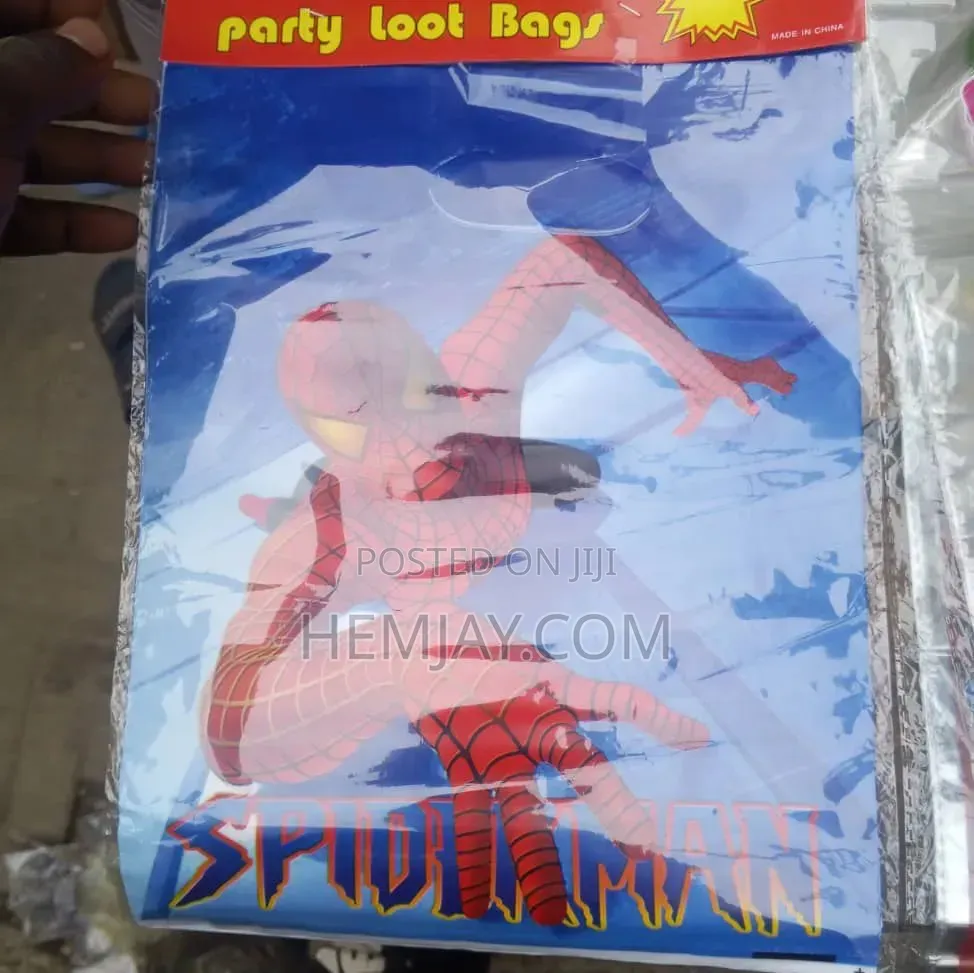 (12pcs) Fancy Party Bag Lyons for Birthday Package
