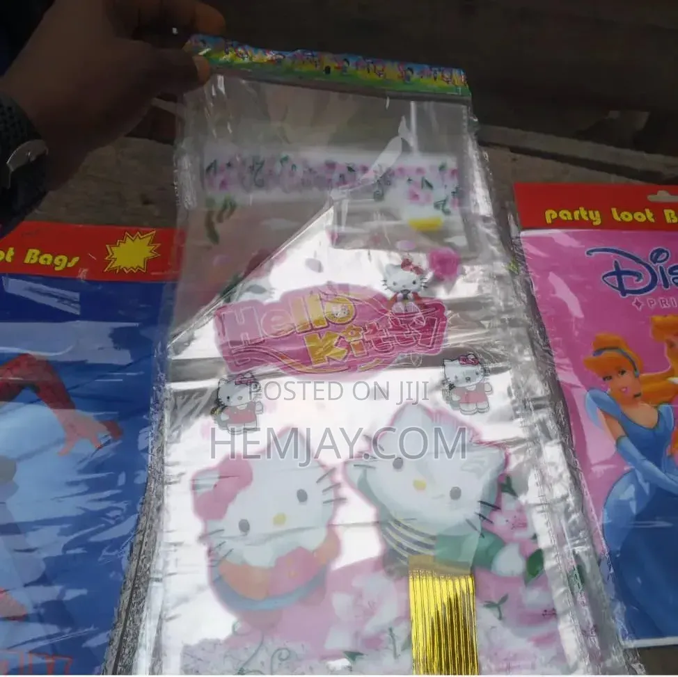 (12pcs) Fancy Party Bag Lyons for Birthday Package