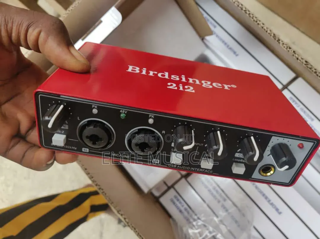 Birdsinger UC22 Audio Interface Sound Card