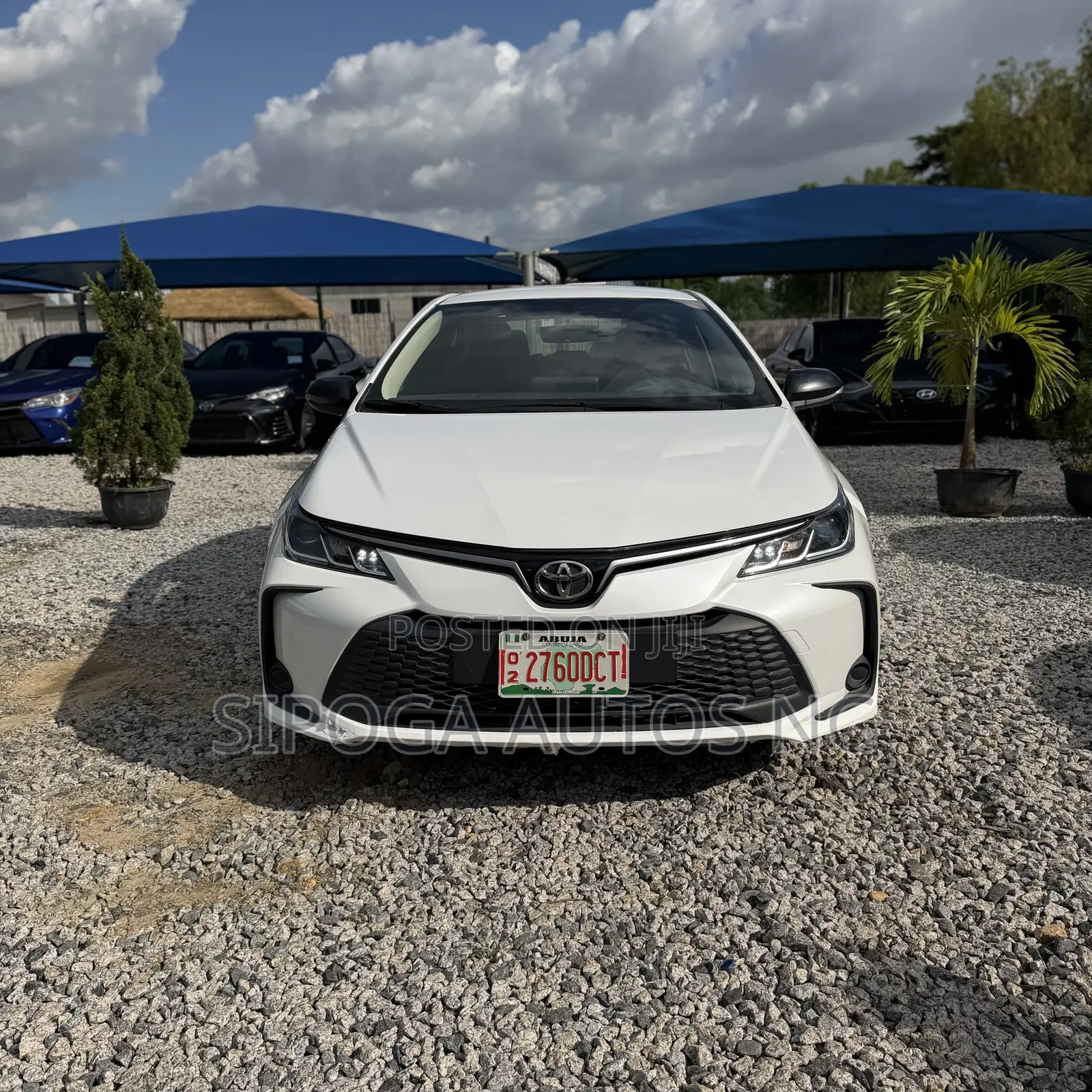 New Toyota Corolla 2025 White