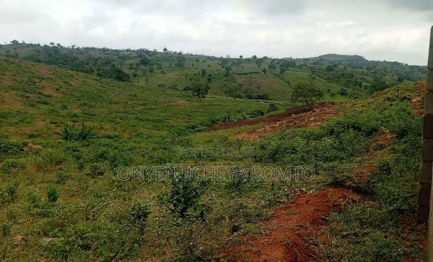 1000SQM Estate Residential Land With R of O
