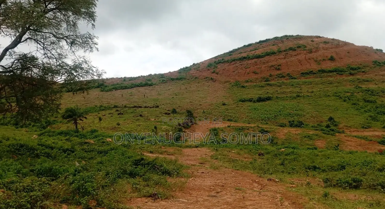1000SQM Estate Residential Land With R of O