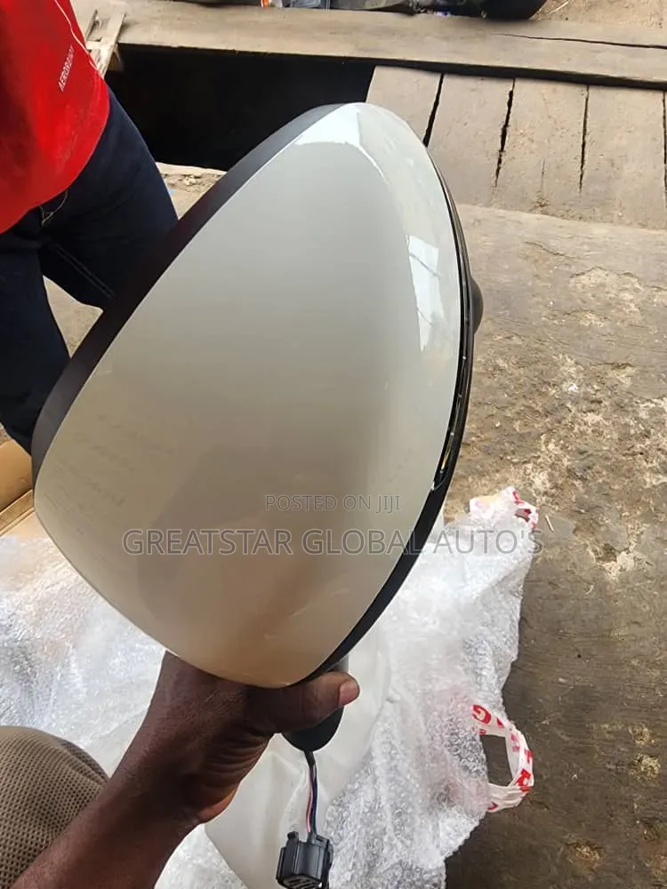 Side Mirror Gac Gs4 2024