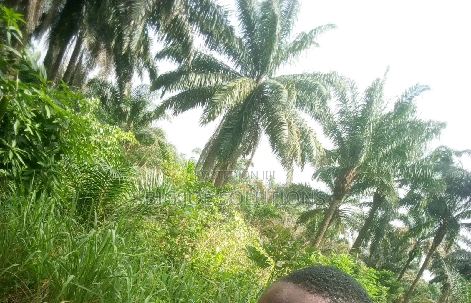 20 Plots of Land for Sale at Owaza Abia State